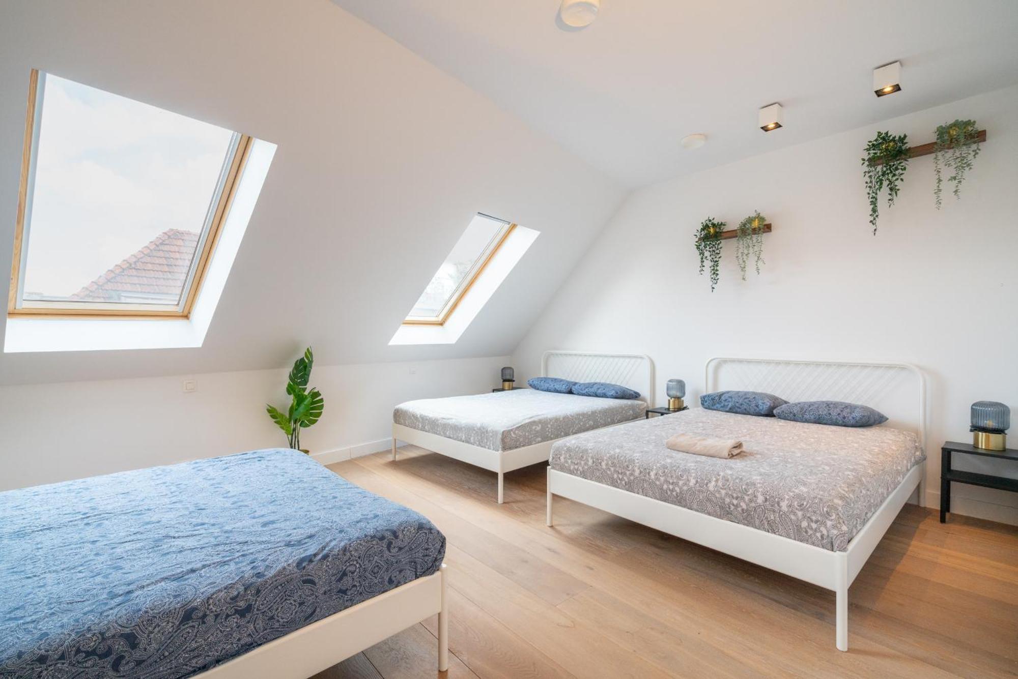 Light House Lodge. Apartment In Center Of أنتويرب المظهر الخارجي الصورة